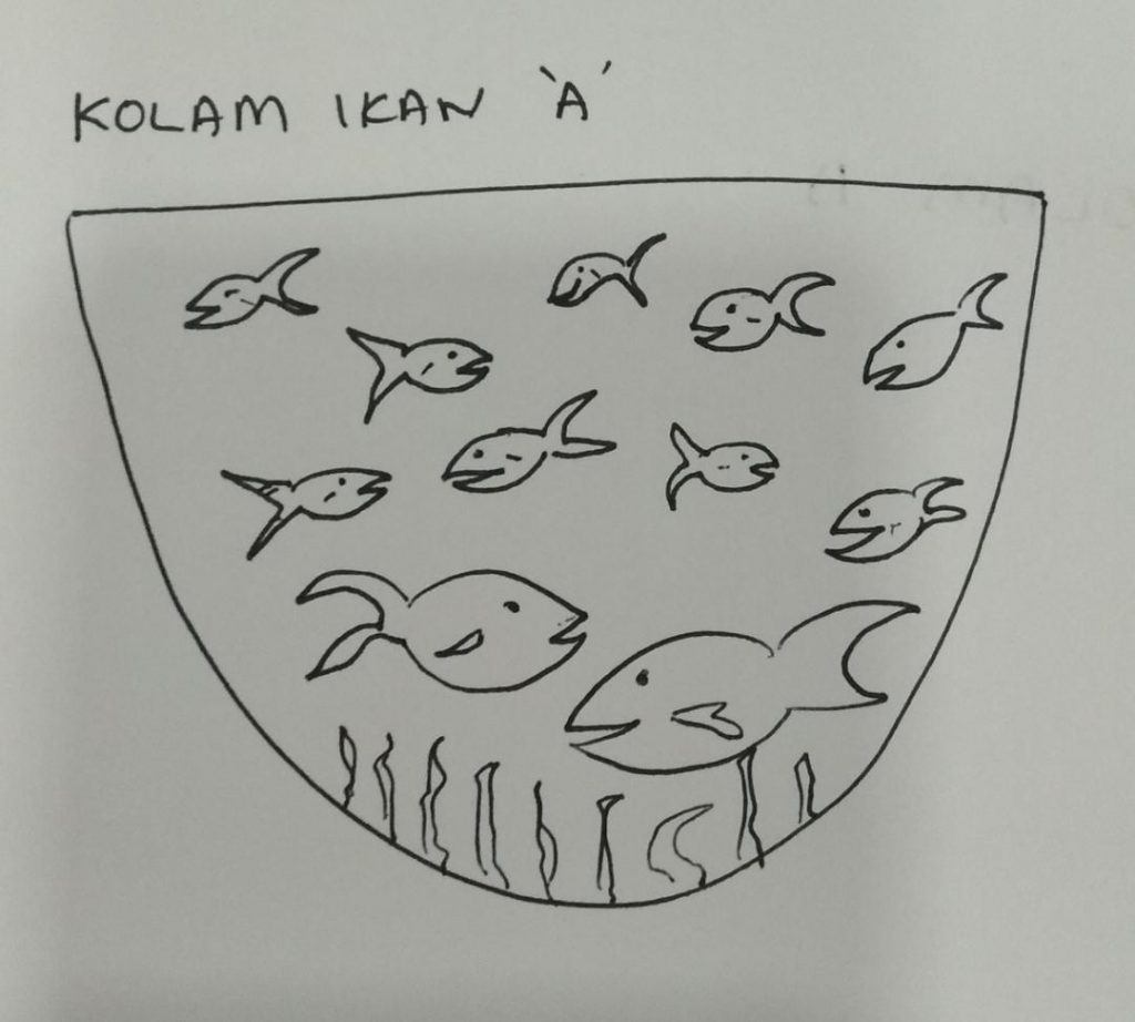 Kolam Ikan A