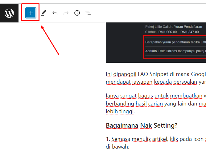 how to set faq snippets
