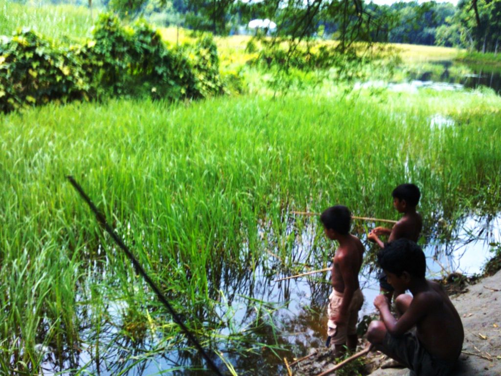 fishing 1616851